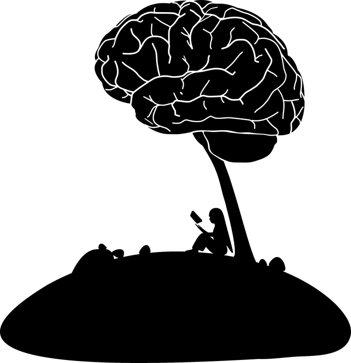 cropped-anatomy-1751138_960_720-3.png